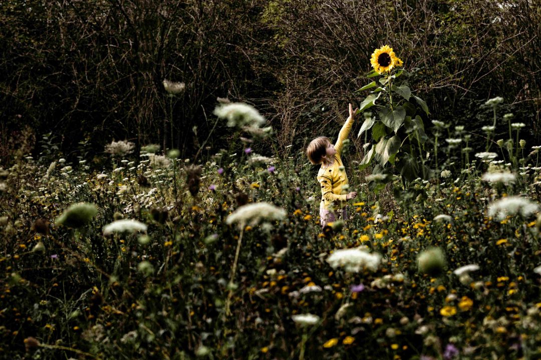 bloemenzee, foto van kind bij zonnebloem, fotograaf